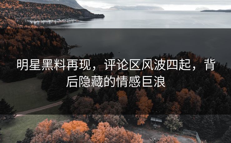 明星黑料再现，评论区风波四起，背后隐藏的情感巨浪